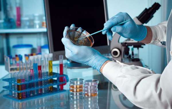 Biotechnology Instruments Market  Size, Share & Trends Analysis Report By Type  | Research Informatic